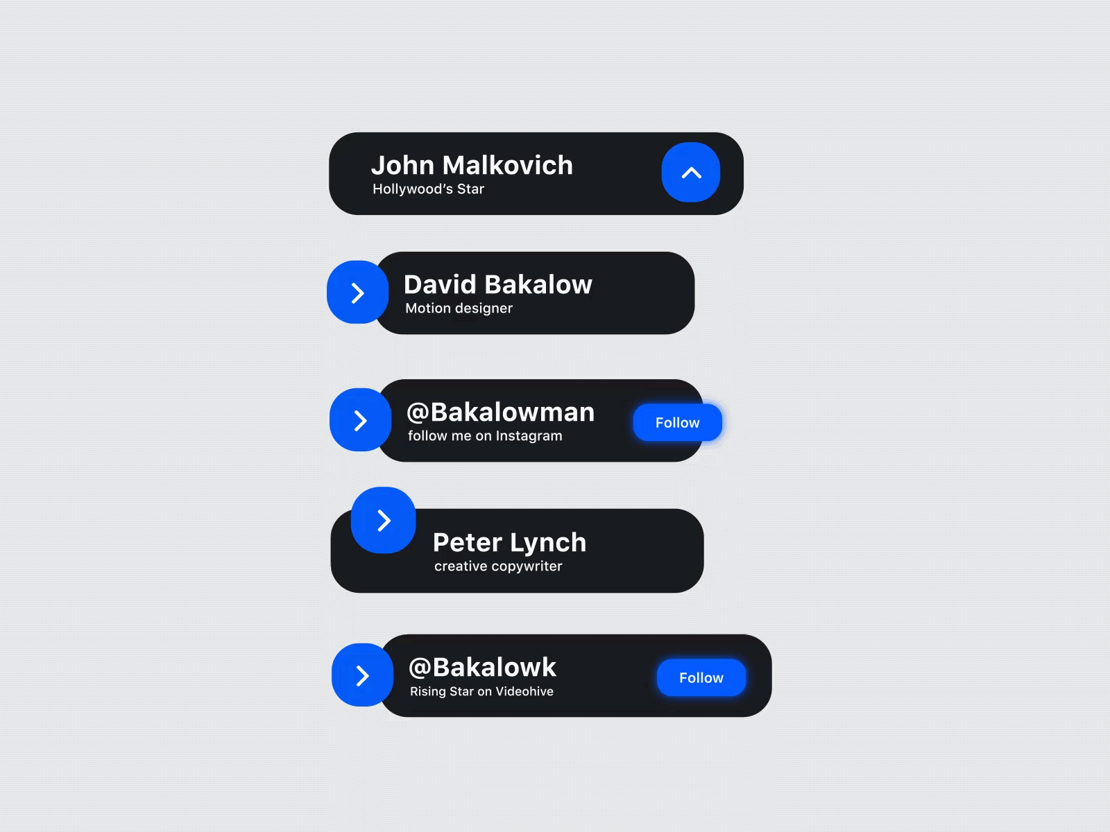 Social Profiles List