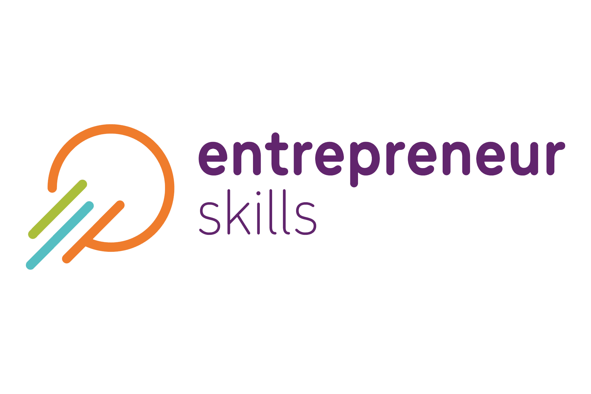 Entrepreneur Skills